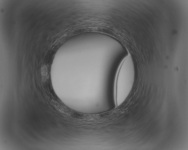 X0000085211347200703090818