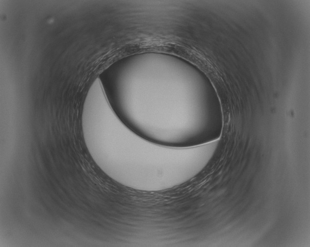 X0000085211348200703090818