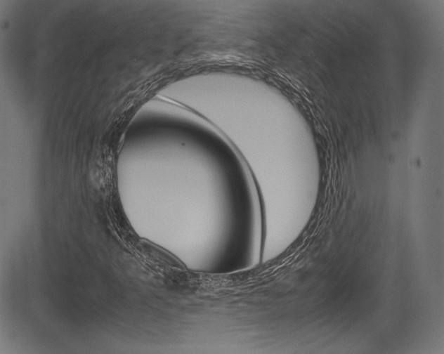 X0000085211349200703090818
