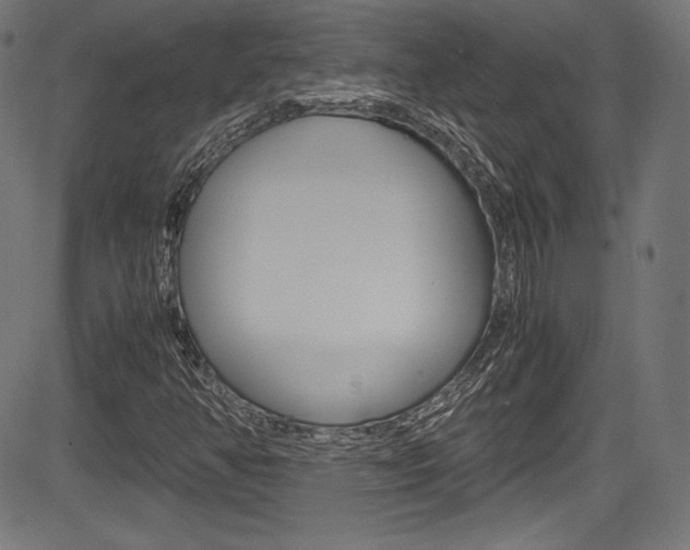 X0000085211350200703090818