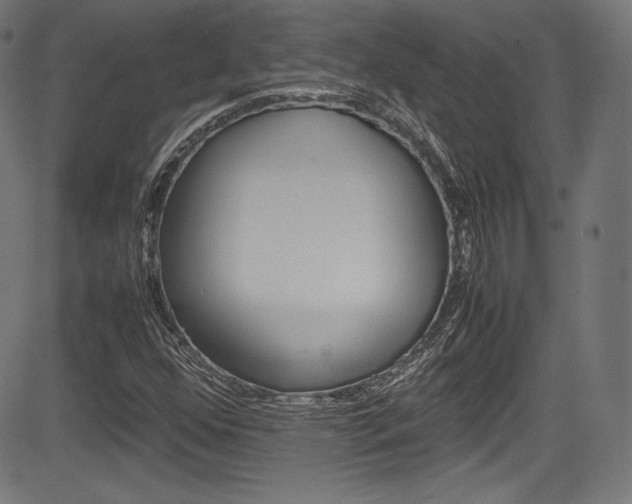 X0000085211352200703090818