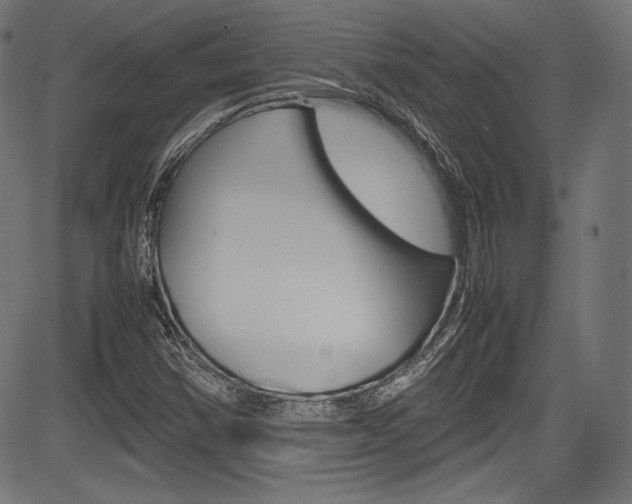 X0000085211354200703090818