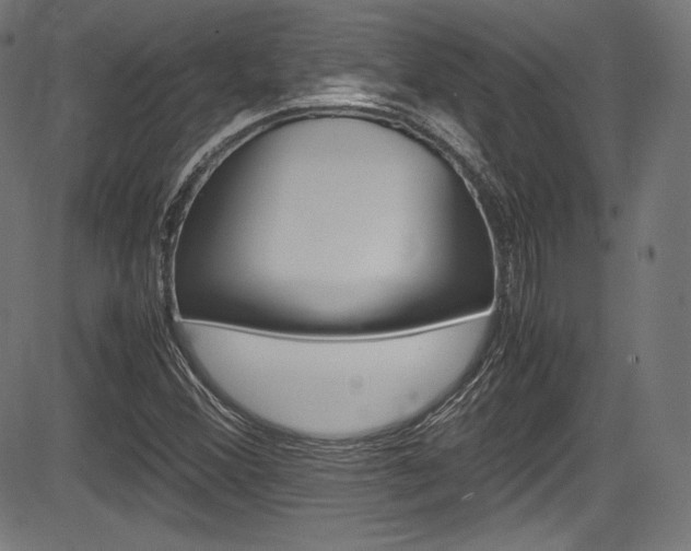 X0000085211356200703090818