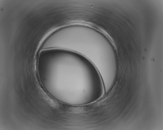 X0000085211376200703090818