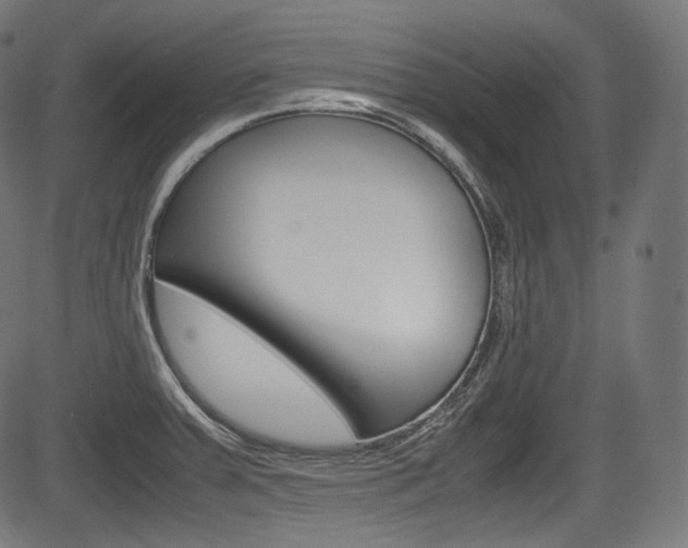 X0000085211379200703090818