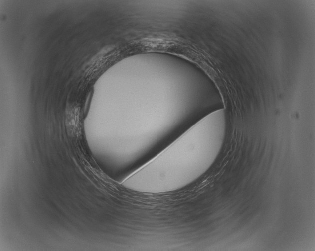 X0000085211396200703090817