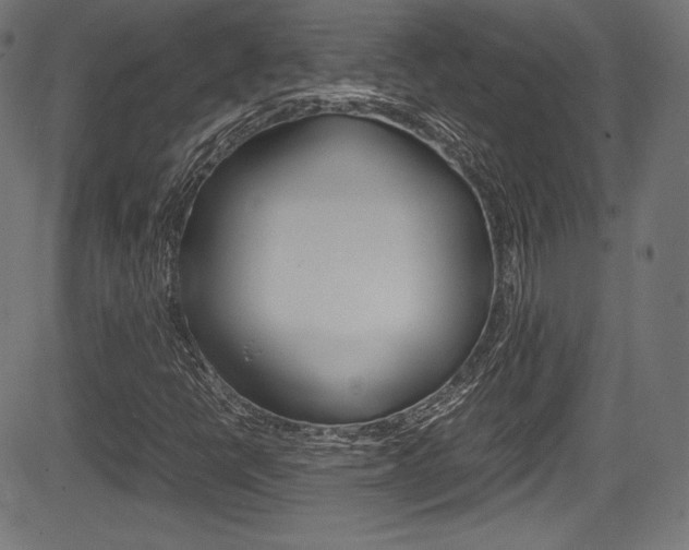 X0000085211398200703090817