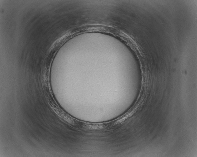 X0000085211403200703090817