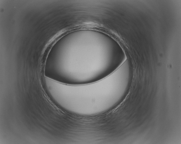 X0000085211410200703090817