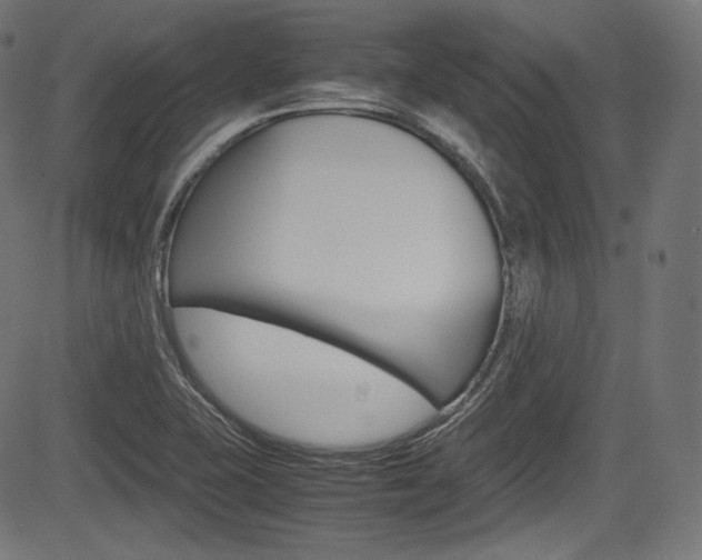 X0000085211415200703090817