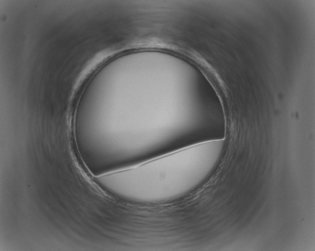 X0000085211416200703090817
