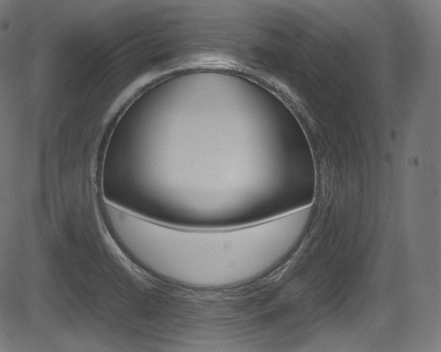 X0000085211422200703090817