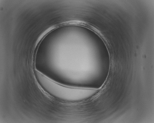 X0000085211426200703090817