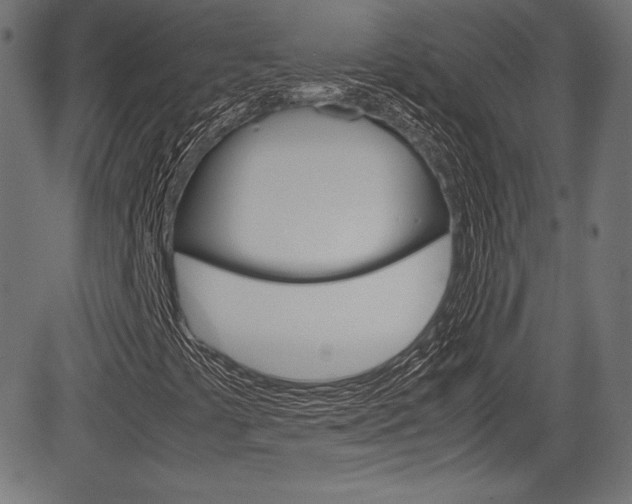 X0000085211441200703090817