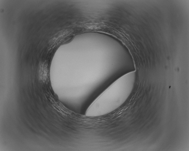 X0000085211444200703090817