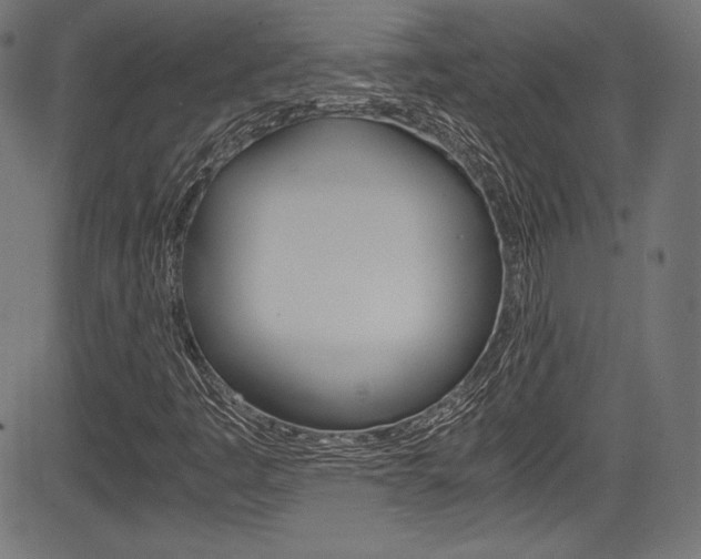 X0000085211445200703090817