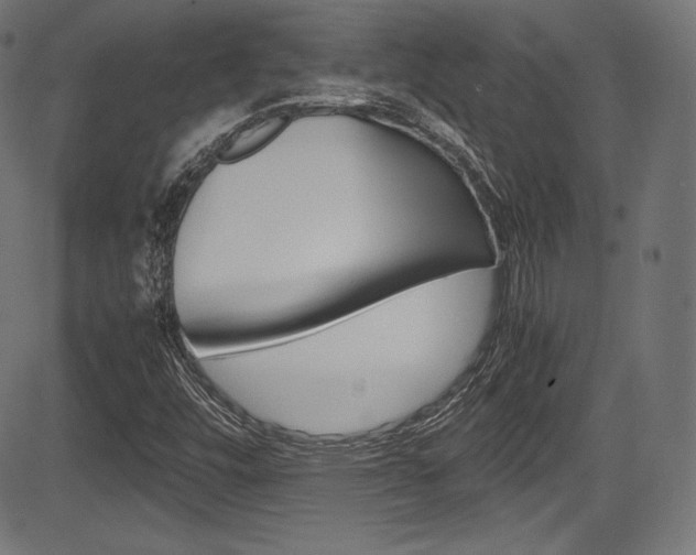 X0000085211448200703090817