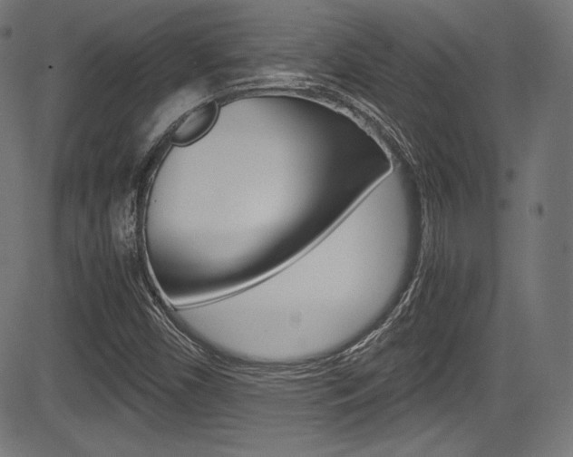 X0000085211450200703090817