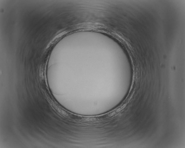 X0000085211451200703090817