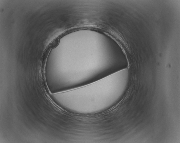 X0000085211452200703090817