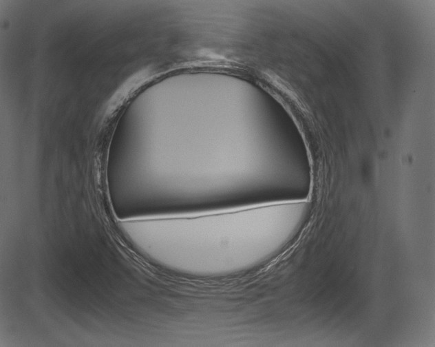 X0000085211455200703090817