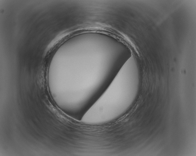 X0000085211456200703090817