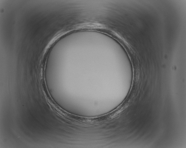 X0000085211459200703090816