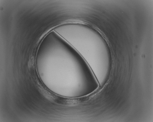 X0000085211465200703090816