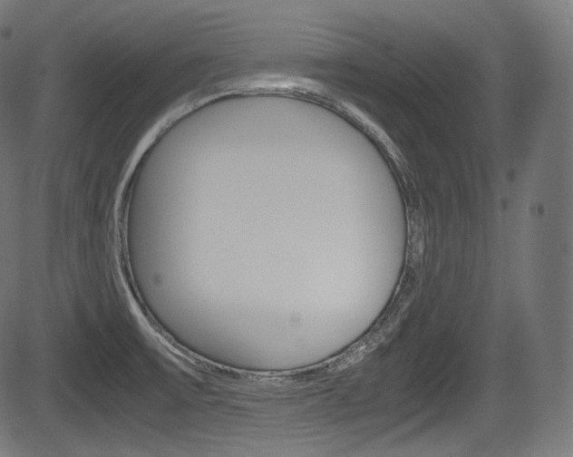 X0000085211475200703090816