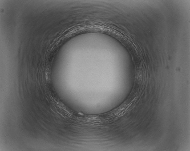 X0000085211490200703090815