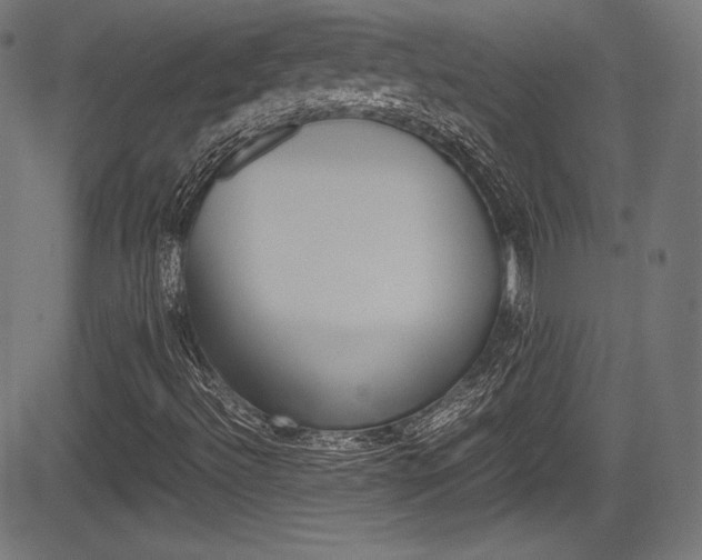 X0000085211492200703090815