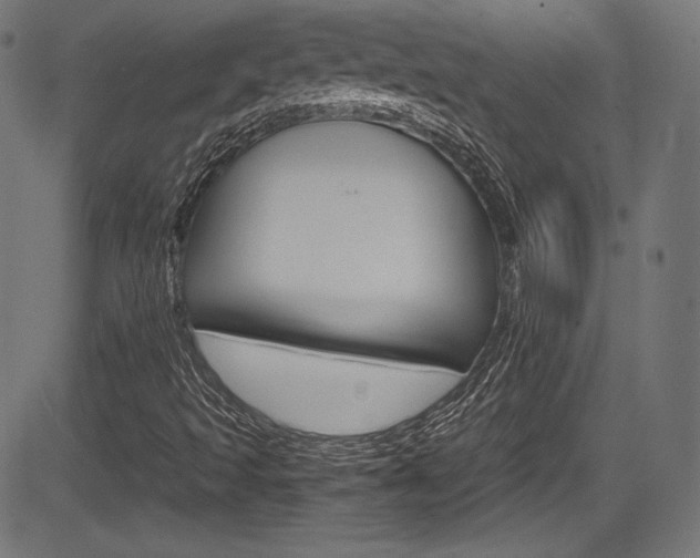 X0000085211493200703090815