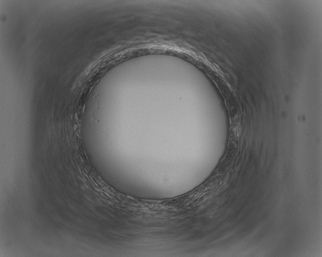 X0000085211495200703090815