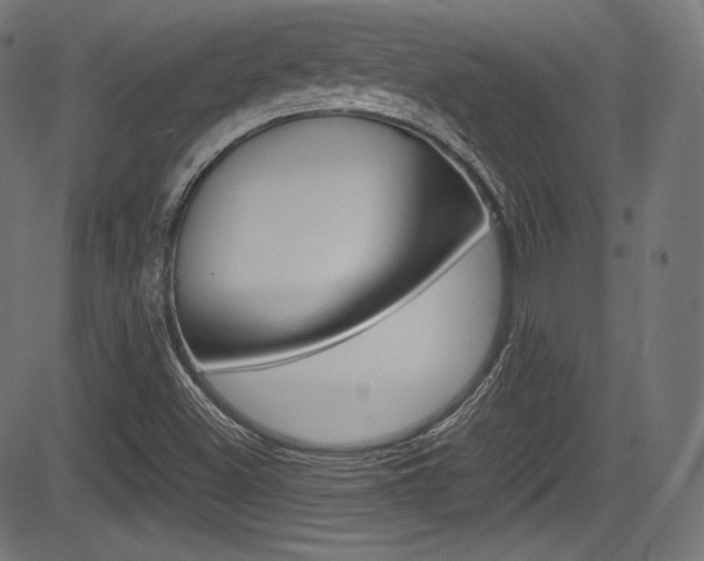 X0000085211500200703090815