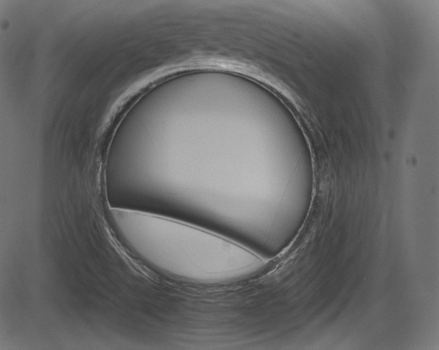 X0000085211507200703090815