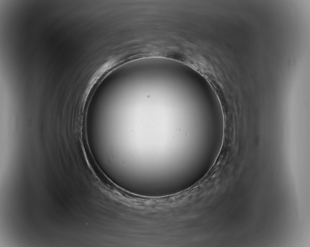 X0000085210003200703091148