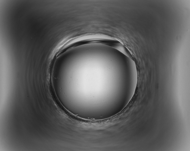 X0000085210005200703091148