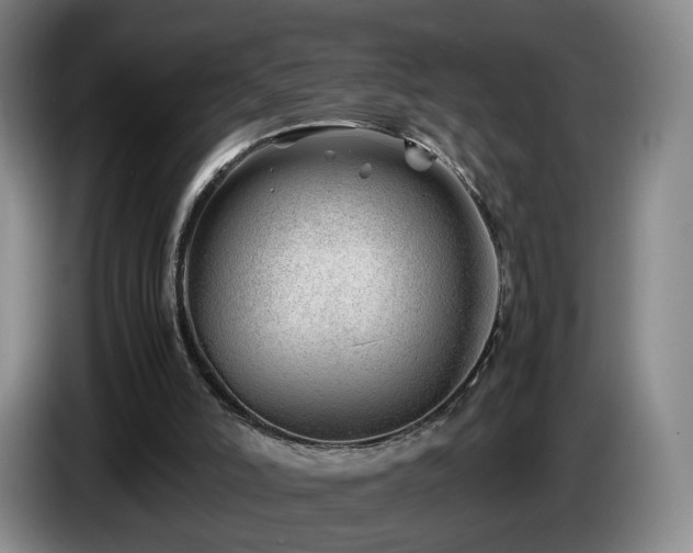 X0000085210006200703091148