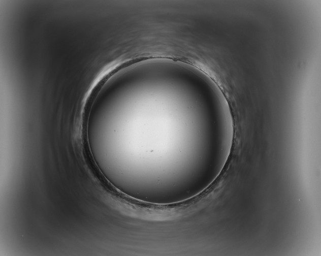 X0000085210008200703091148