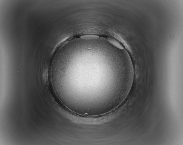 X0000085210010200703091148