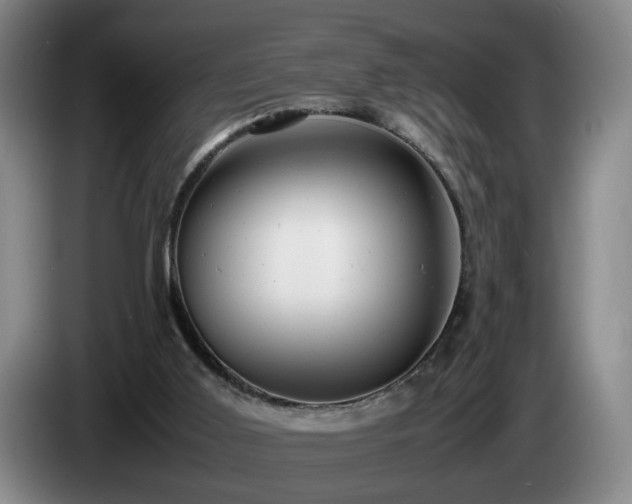 X0000085210011200703091148