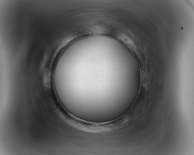 X0000085210012200703091148