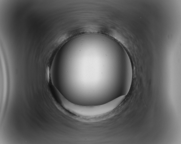 X0000085210013200703091148