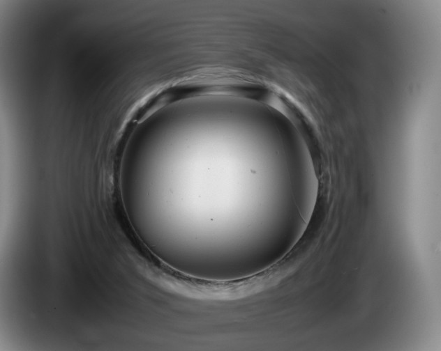X0000085210015200703091148