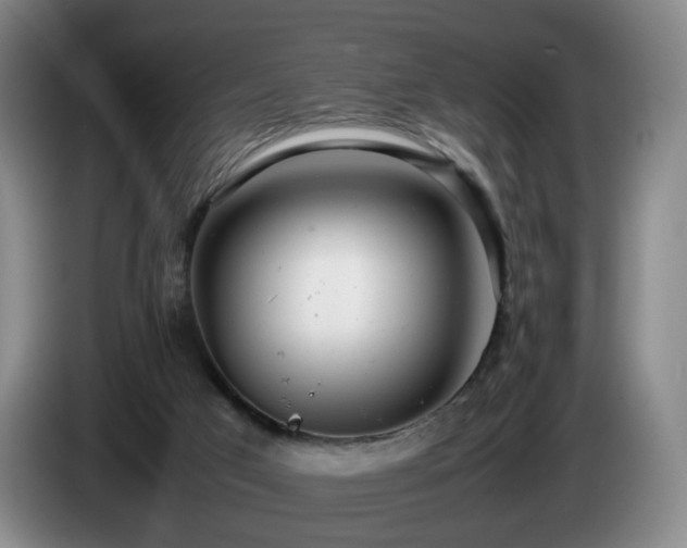X0000085210017200703091148