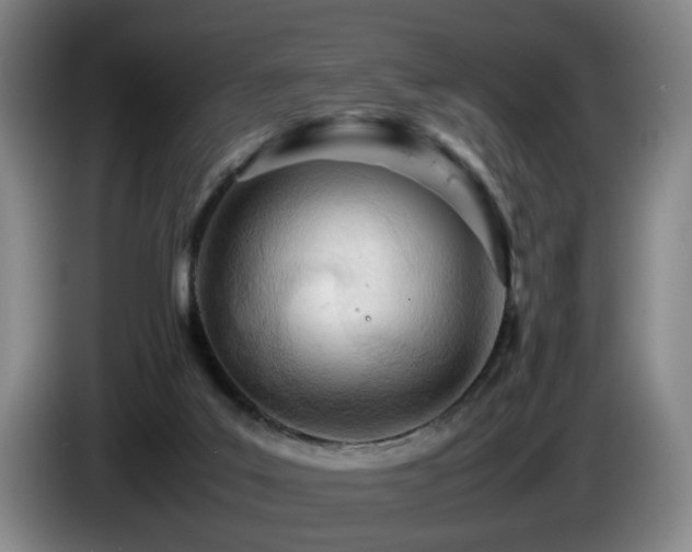 X0000085210019200703091148