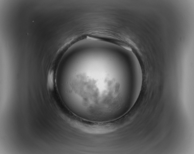X0000085210020200703091148