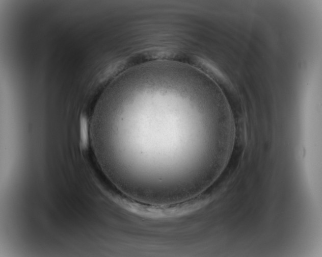 X0000085210022200703091148