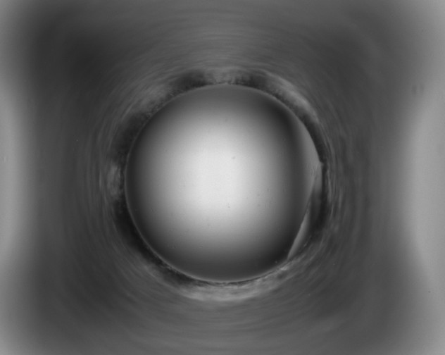 X0000085210025200703091148