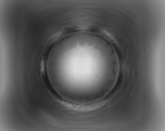 X0000085210026200703091148
